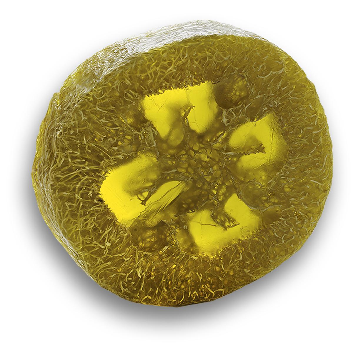 Aromatherapy Foot Loofa Soap Herbal Citrus